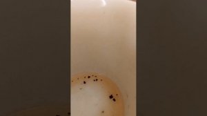 Всем привет 👍