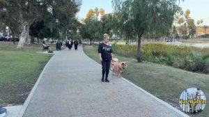 Прогулка по парку в Лос-анджелесе. Калифорния США