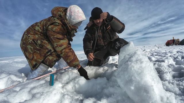 Ловим Краба один крупнее другого..