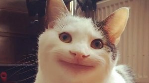 15-02-2026 Тренд деда и внук