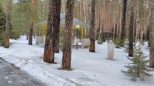 После обеда прогулялись 15.02.26.