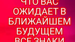 🎊ДЕВА🎊 ЧТО ОЖИДАЕТ В БЛИЖАЙШЕЕ БУДУЩЕЕ🎊 СМОТРИМ🎉🎉🎉