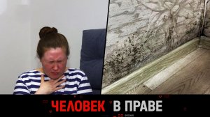 «Человек в праве» с Андреем Куницыным. Выпуск от 15 февраля 2026 года