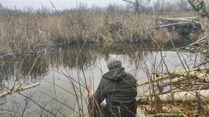 Рыбалка в ноябре. В поисках рыбы. Лютые бобры.