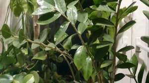 Поздней осени закат...