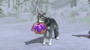 Я тоже в вилде!снимать ли мне мини фильм?