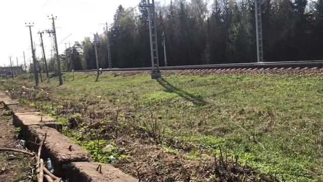 поезда на мцд-2 и пение птиц (старое видео)