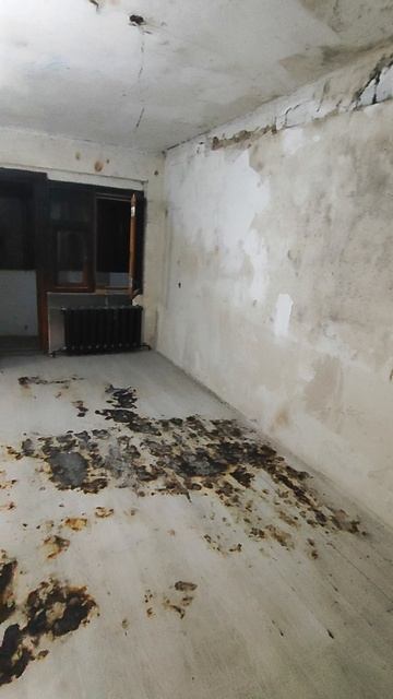 Краснодар, ул. Вавилова Н.И., дом 7, кв 15