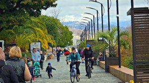 ✅️🌴15 ФЕВРАЛЯ В АДЛЕРЕ:+12°,ПУШИСТАЯ МИМОЗА, ШТОРМЯЩЕЕ МОРЕ. НАБЕРЕЖНАЯ АДЛЕРА В МЕЖСЕЗОНЬЕ. АДЛЕР