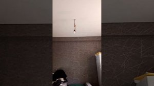 АЛЛАГЬ Велик ❤️