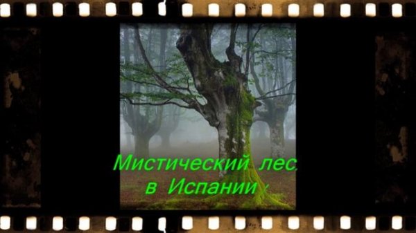 Комби-ролики ! (13)