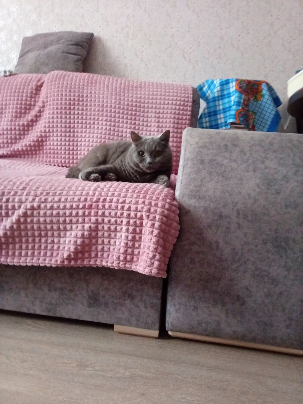 Ксюша смотреть онлайн