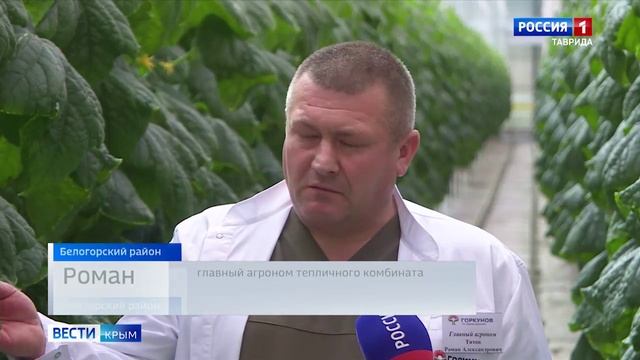 В Крыму выросли цены на некоторые продукты