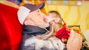 Степа, Маня и Люська пришли с прогулки и Маня решила УЙТИ ЖИТЬ к Люське)))