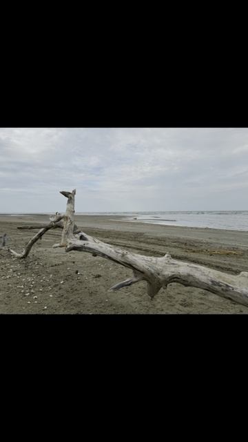 Квартиры у моря Дагестан