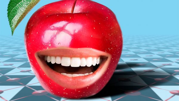 ФОТОШОП И ВИДЕОМОНТАЖ Adobe Premiere PRO