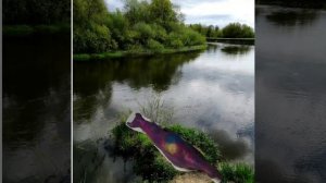 Старая анимация: cretacus under water