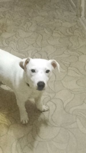 хотите ли вы мой клип на 120 подписчиков?