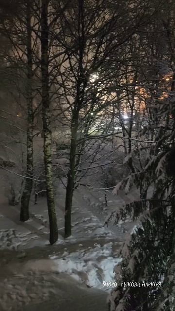 Зимняя сказка ❄️