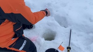 Сработала подсекайка - форель на крючке !