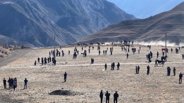 Скачки 3-я партия лошадей на 9 кругов 15.02.2026г.