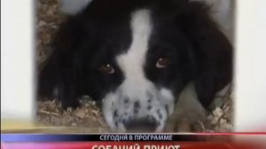 Фрагмент новостей (Губерния (Хабаровск), 22.11.2013)