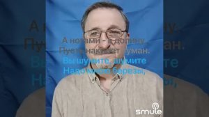 Вы шумите шумите
