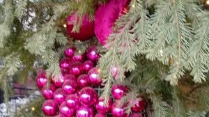 Новогодние украшения не сняты, город готов встретить Китайский Новый Год красной Огненной Лошади