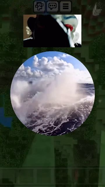 шоу дельфинов смотреть онлайн