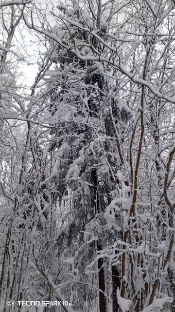 Природа смотреть онлайн