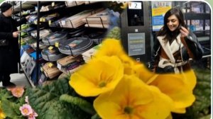 САМВЕЛ АДАМЯН, ГАРИК И КЕРРИ, ОБНОВКИ ДЛЯ КУХНИ АРМИДОЧКИ..