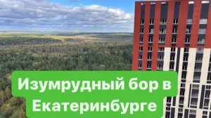 Екатеринбург -город чудесный. Смотрим новые дома. #мысливслух #поговоримподушам #екатеринбург