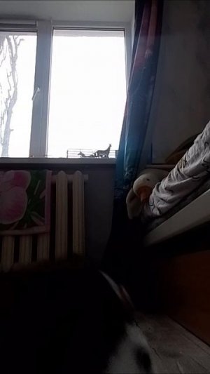 Делай дуэт!|ПДБ|ПТАВА