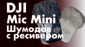 DJI Mic Mini черер ресивер - тестируем ШУМОПОДАВЛЕНИЕ при подключении к камере DJI