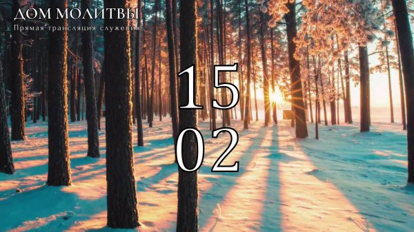 15.02.2026 - Прямая трансляция ст.Елизаветинская