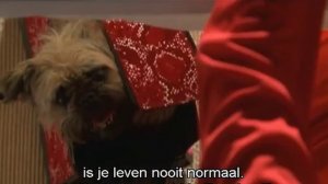 Официальный трейлер "Каролина (2003)"