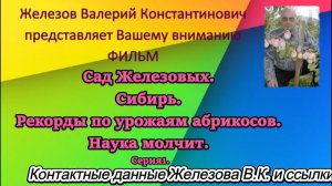 Сад Железовых. Сибирь. Рекорды по урожаям абрикосов. Наука молчит. Серия1.