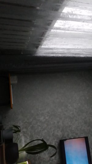 Сашка Чашка