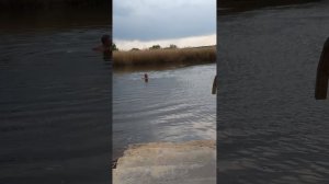 25 апреля 2025 купаюсь в Савале братки