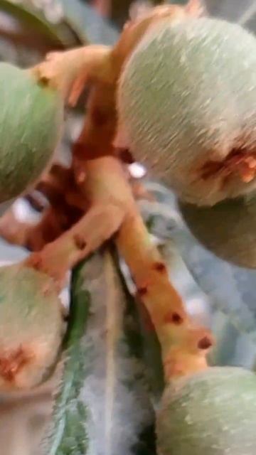 15 февраля +21° НАБЕРЕЖНАЯ МАХМУТЛАРА. ТУРЦИЯ 2026.