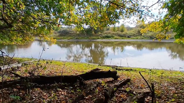 Откройте для себя | Как озеро вдохновляет певцов природы смотреть онлайн