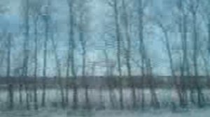 ПРИРОДА MOV00405 10 декабря 2008 г