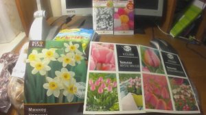 Обзор покупочек к огородному сезону// тюльпаны//лук//нарциссы.