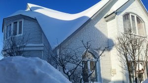 Двор в снегу. Милочка гуляет. Горы снега.