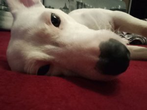 наконец-то у меня 120 подписчиков.