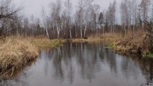 В ПОИСКЕ ЗОЛОТЫХ САМОРОДКОВ НА ГОРНОЙ РЕКЕ!!!!!! АВТОРСКОЕ ВИДЕО