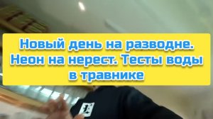 Новый день на разводне. Неон на нерест. Тесты воды в травнике