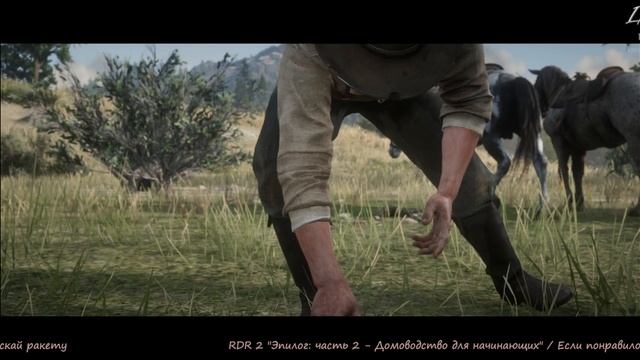 RDR 2 "Эпилог: часть 2 - Домоводство для начинающих"