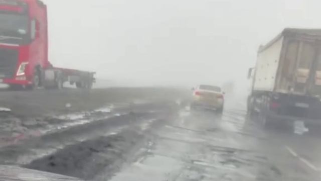 telegram-cloud-document-2-5229044316906762698 смотреть онлайн