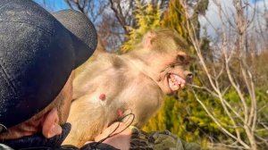 У ЛЮСИ СДАЮТ НЕРВЫ! Стоит Денису со Степой отойти хоть чуть-чуть от нее НАЧИНАЕТСЯ ИСТЕРИКА!